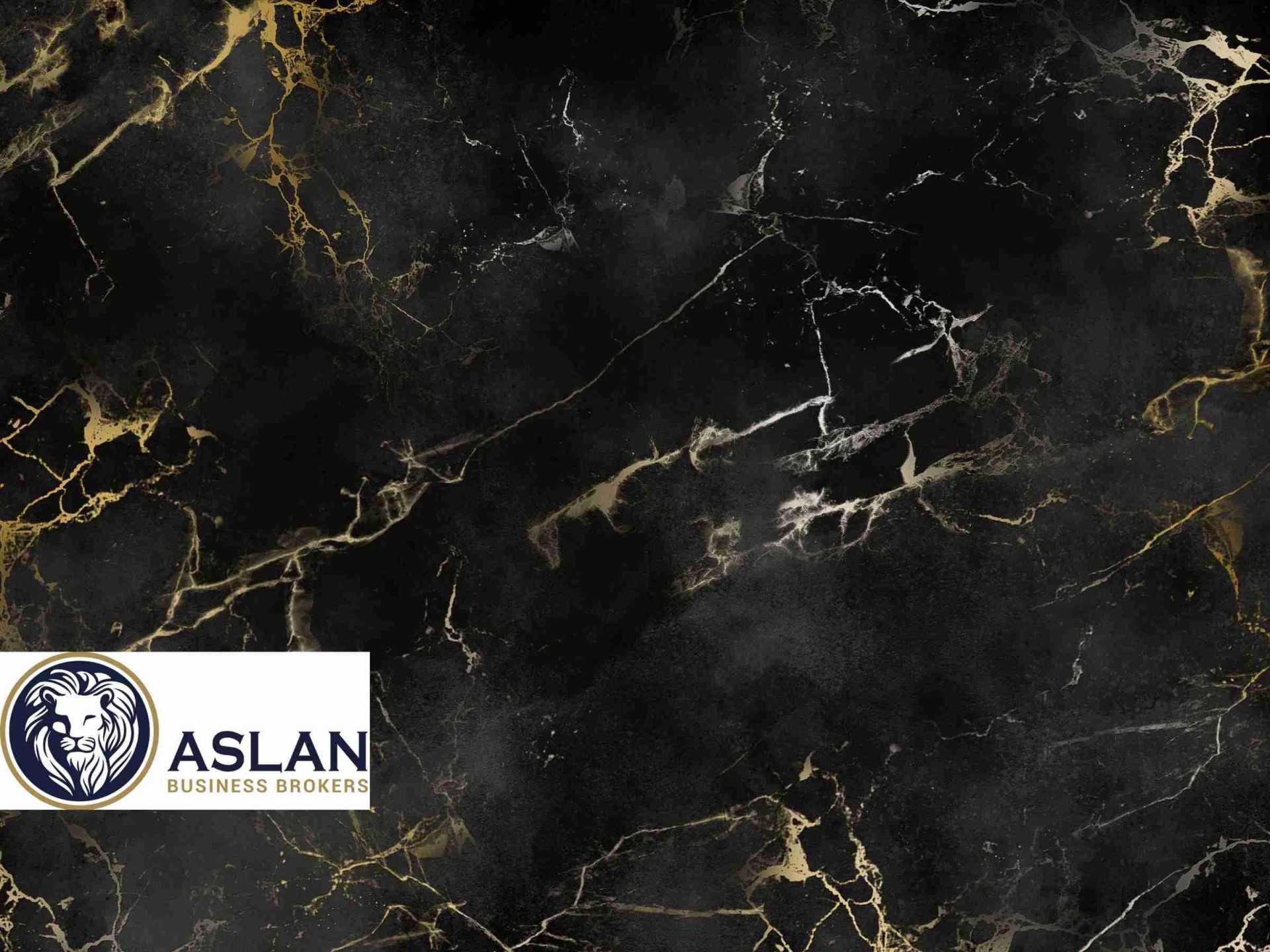 Wholesale Marble Supply Business 685913 2