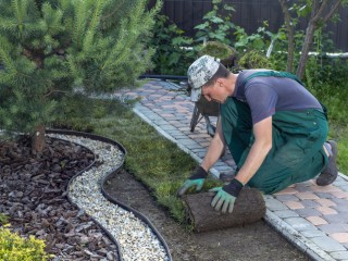 Going Concern - Sale of Landscaping Construction Company