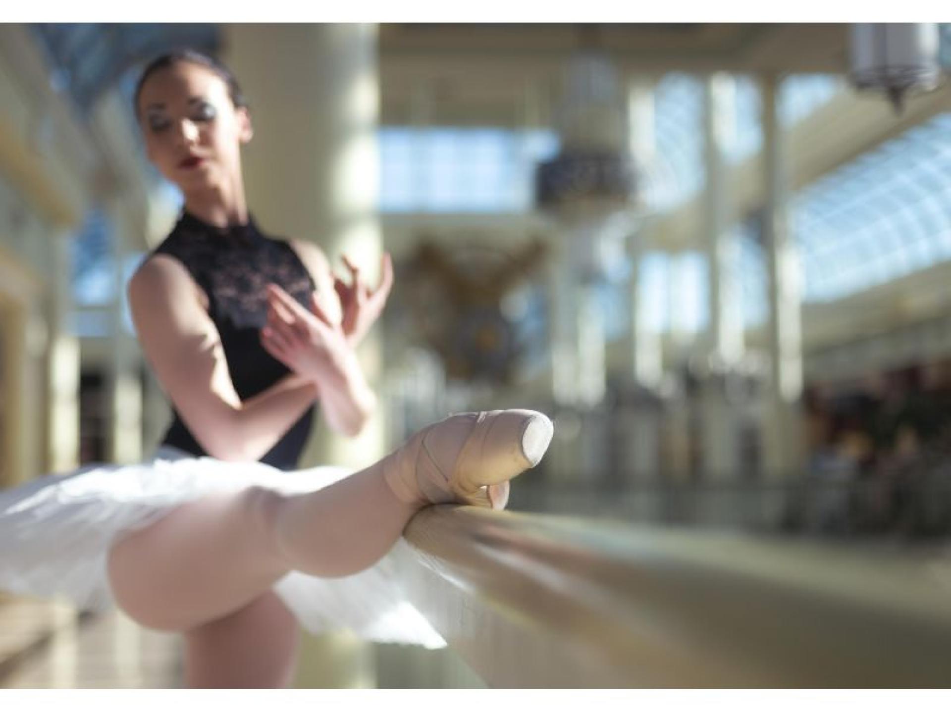 Adult Ballet School - 686209 2