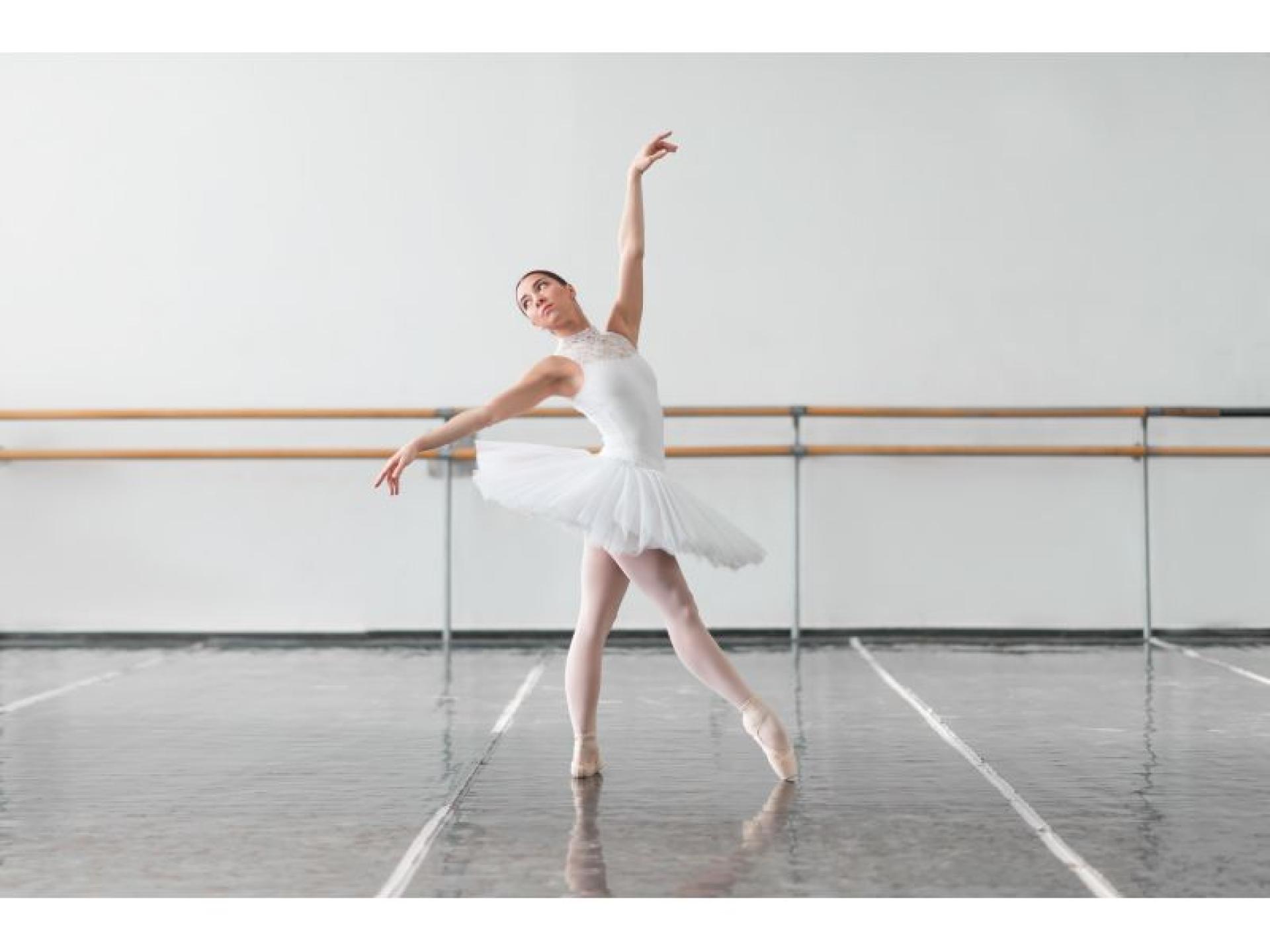 Adult Ballet School - 686209 3