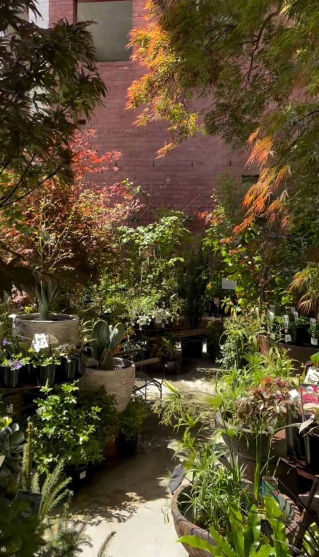 Iconic Fitzroy Nursery Brunswick 686313 3