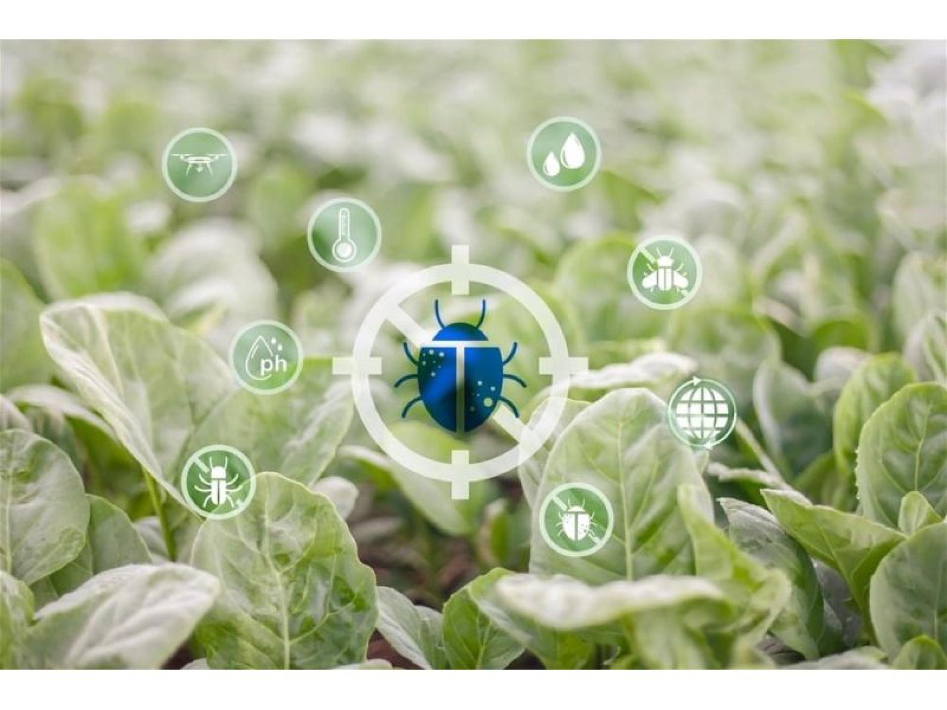 Chemical Free Pest Control 686419 1