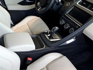 Established Automotive & Commercial Cable Business