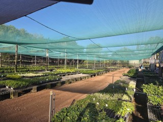 Central to North Queensland Wholesale Nursery  Strategic Add on or Lifestyle Business