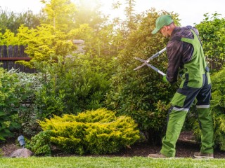 Landscaping, Mowing & Gardening Business