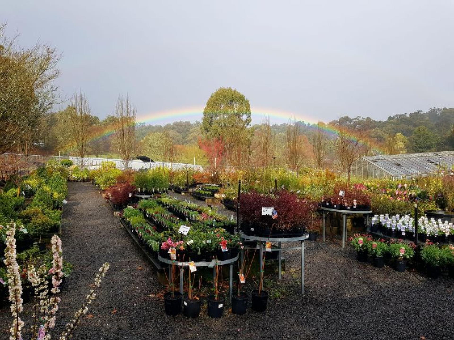 Established Retail Nursery – 686990 1