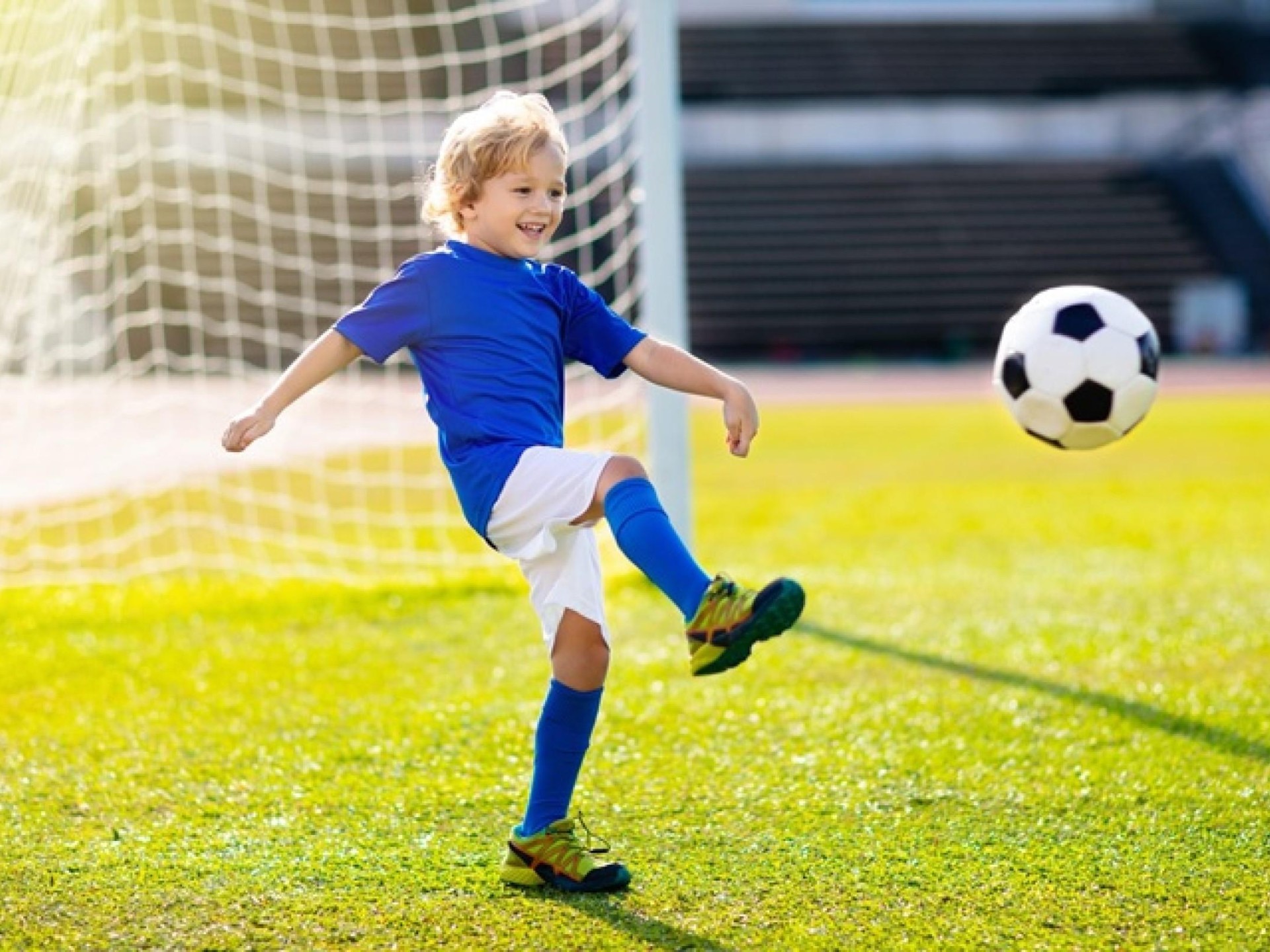 Niche Market Sports Product 687036 1