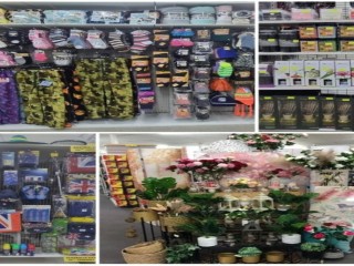 2 DISCOUNT VARIETY STORES + WAREHOUSE $39,000+SAV ($230,000)