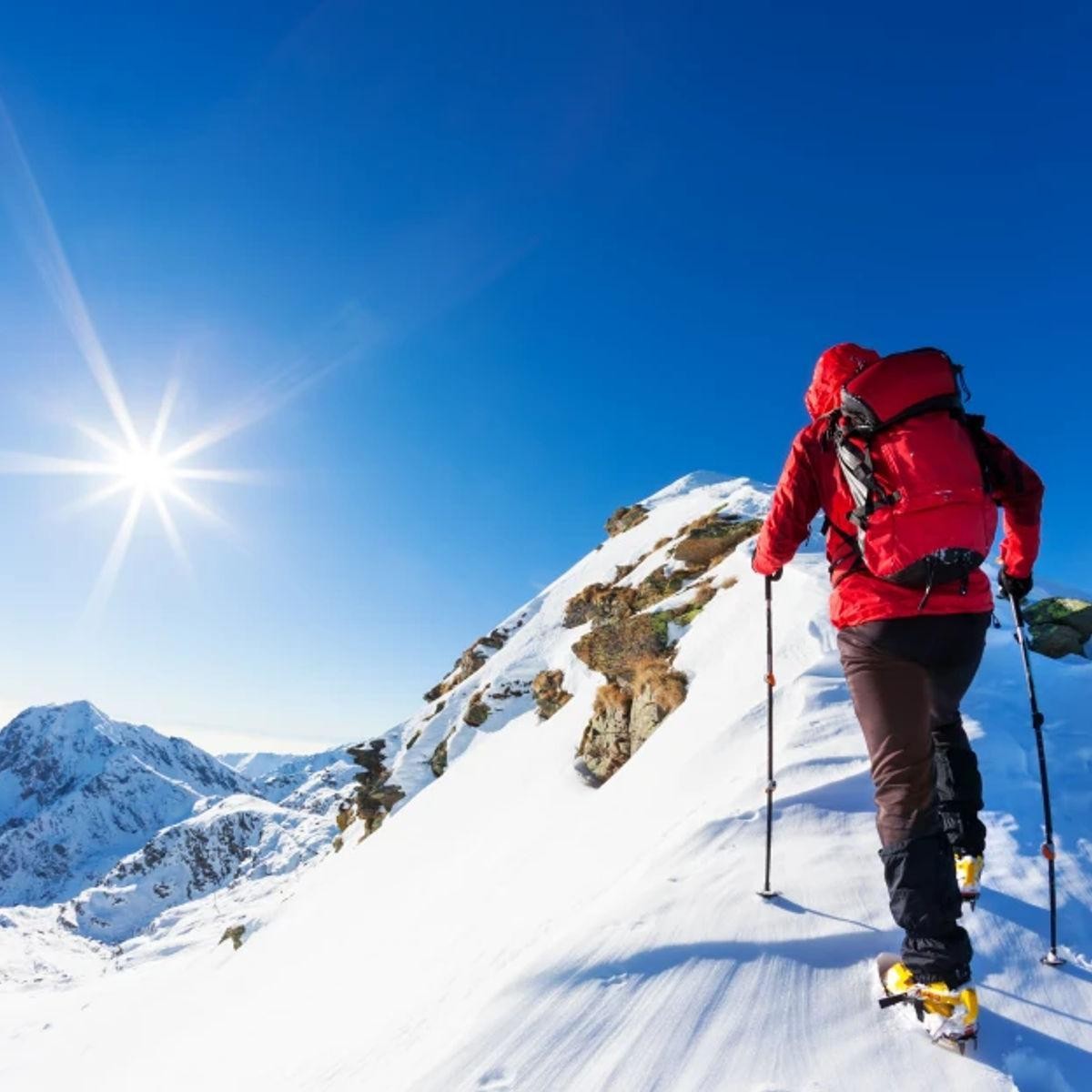 Coaching. Training. Consulting.- Brian 687080 1