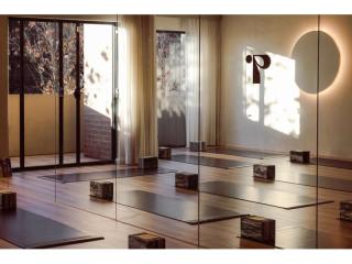 Independent Movement and Wellness Studio – Lower North Shore, Sydney