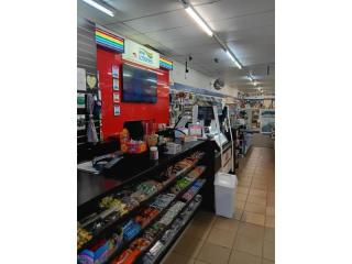 Top Ranking Newsagency in Seaside Suburb – Central Coast, NSW