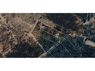 SUGARLOAF - 5 ACRE EX-FORESTRY BLOCK WITH REMAINS OF BEAUTIFUL OLD PINE FOREST