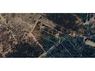 SUGARLOAF - 5 ACRE EX-FORESTRY BLOCK WITH REMAINS OF BEAUTIFUL OLD PINE FOREST