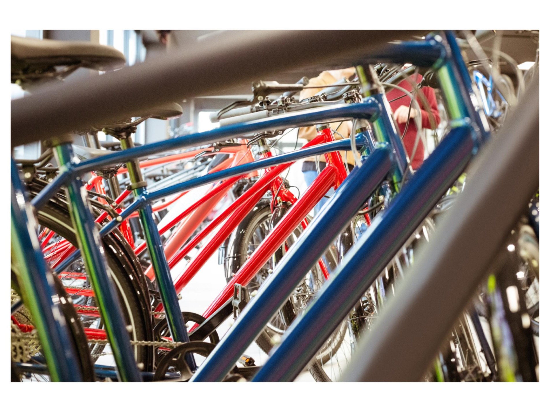 Bicycle Store 687147 1