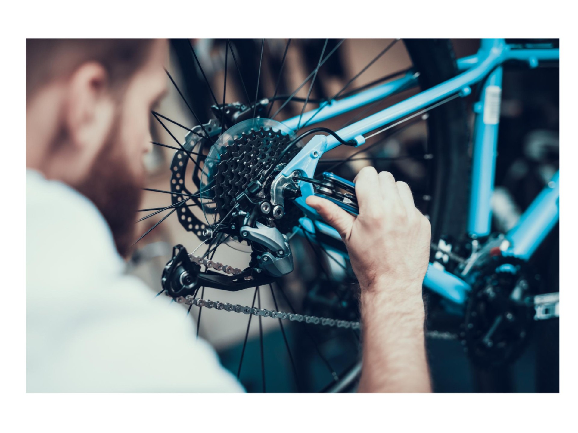 Bicycle Store 687147 2