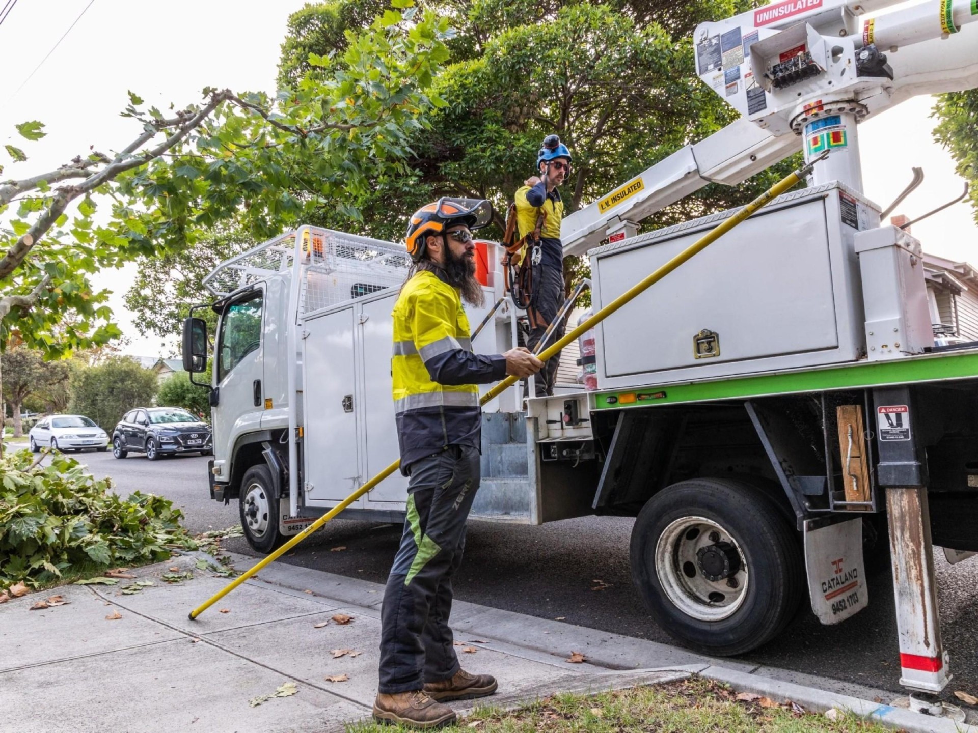 Vegetation Maintenance Municipal Contractor 687210 1