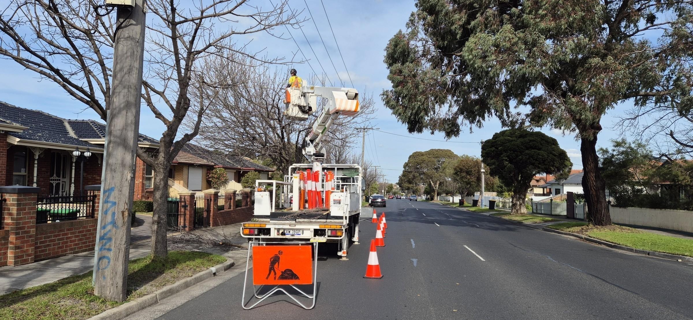 Vegetation Maintenance Municipal Contractor 687210 3