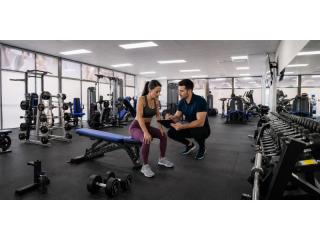 Established 24/7 Gym Business - Como