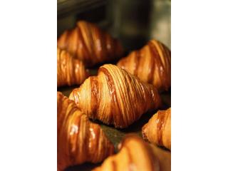 Gold Coast Artisan Bakery with 2 Locations- Urgent Sale