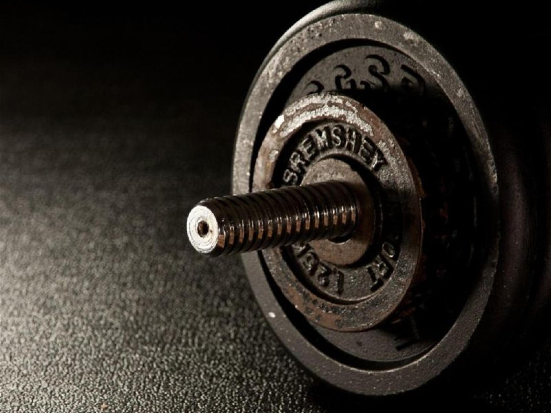 Perth Fitness Business - 687343 3