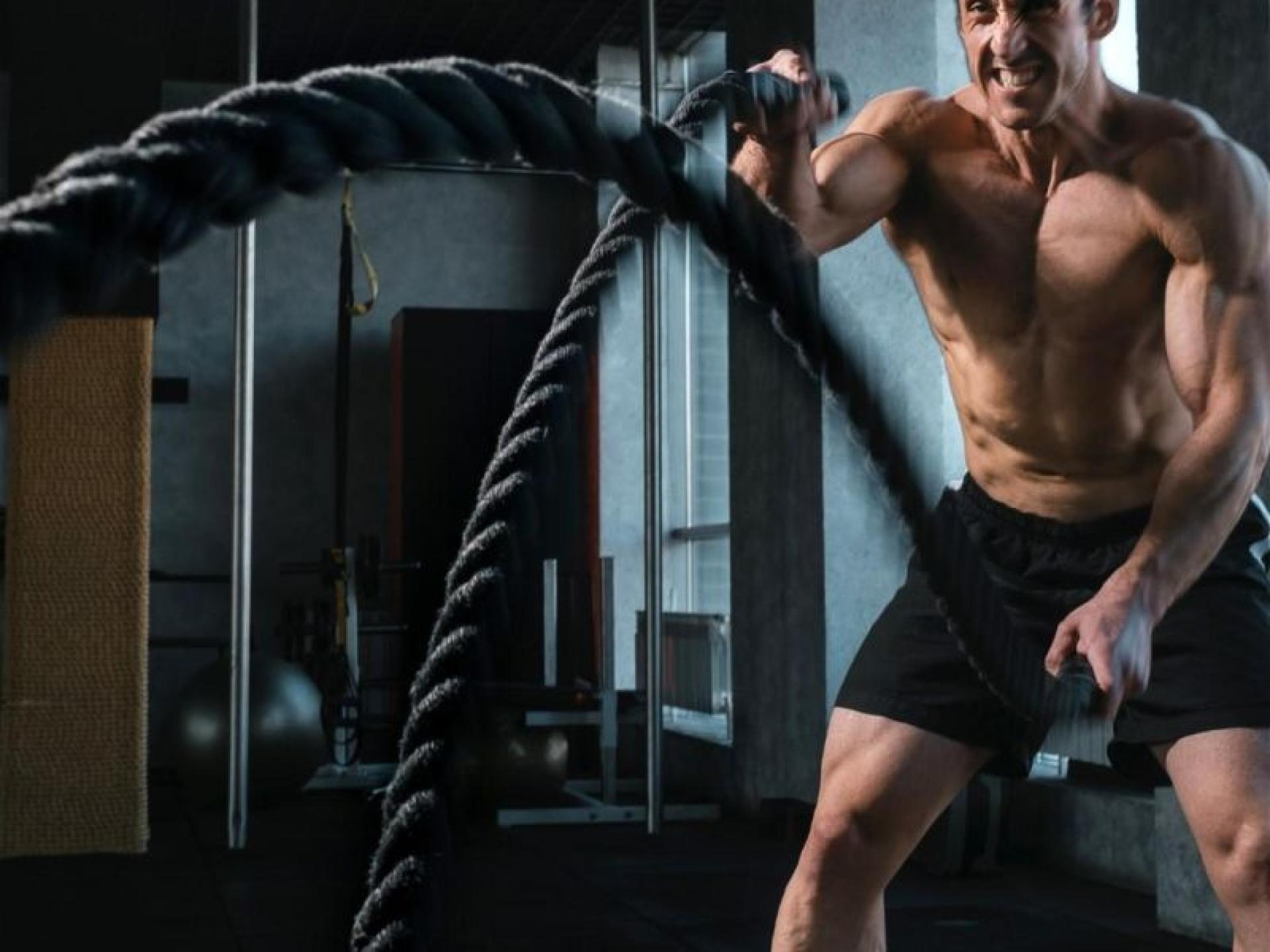 Perth Fitness Business - 687343 2