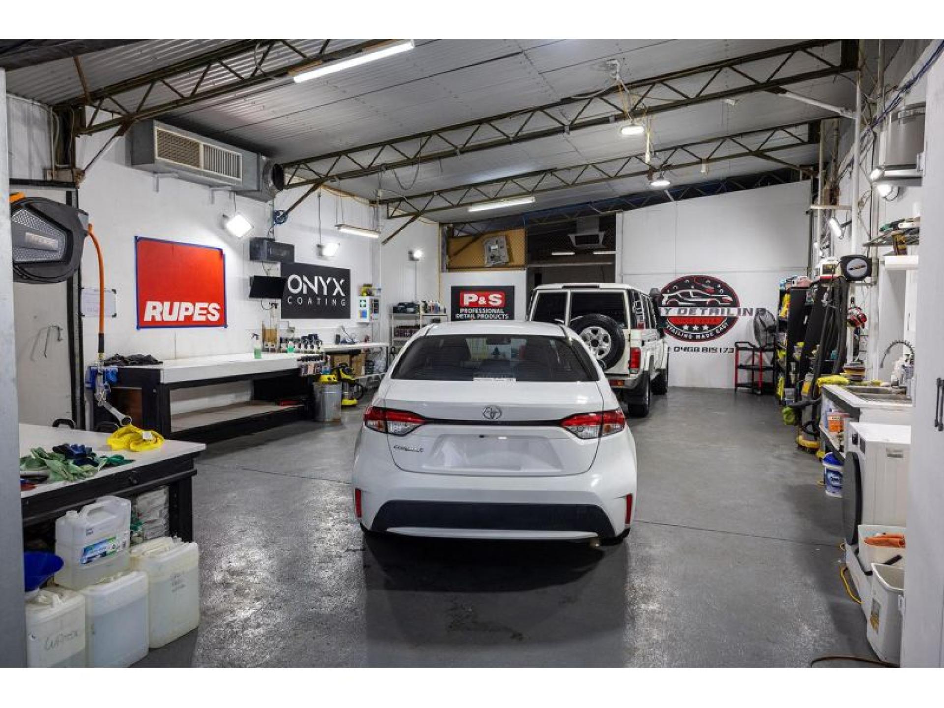 Car Wash Detailing Dog 687466 3
