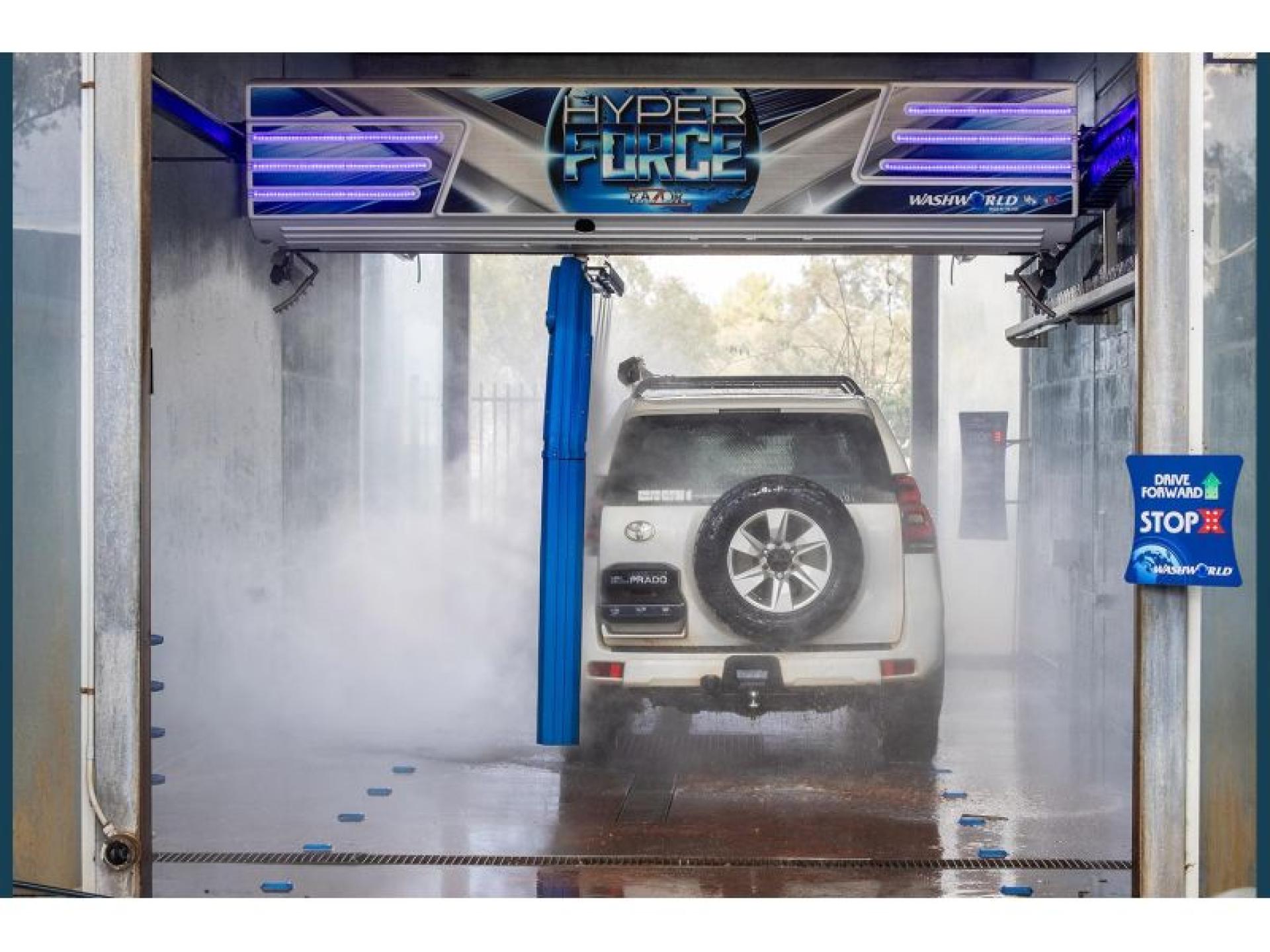 Car Wash Detailing Dog 687466 2
