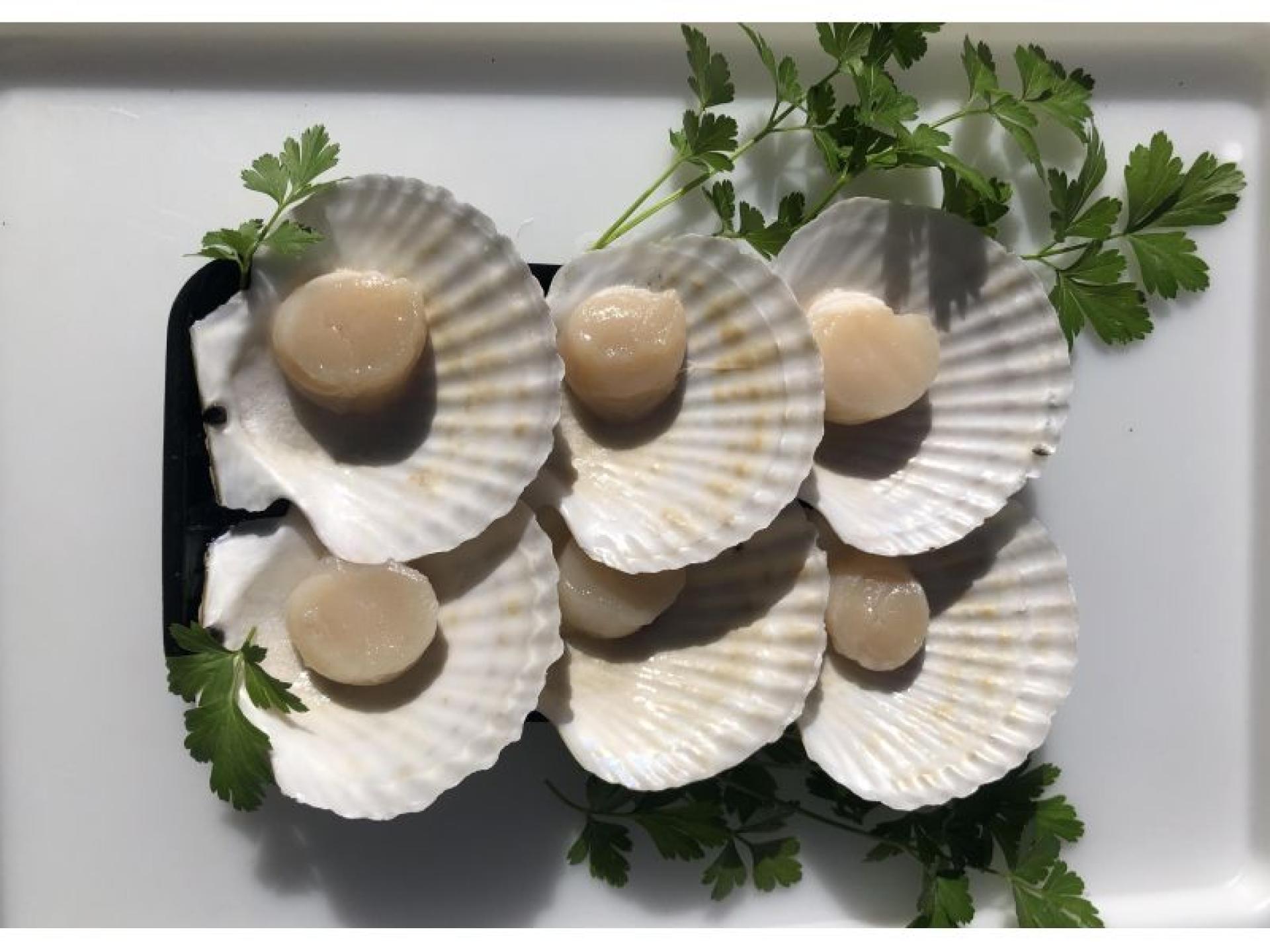 Established Mobile Seafood Retail 687561 2