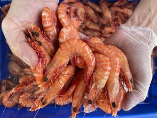 Established Mobile Seafood Retail Business – Three Turnkey Outlets Included