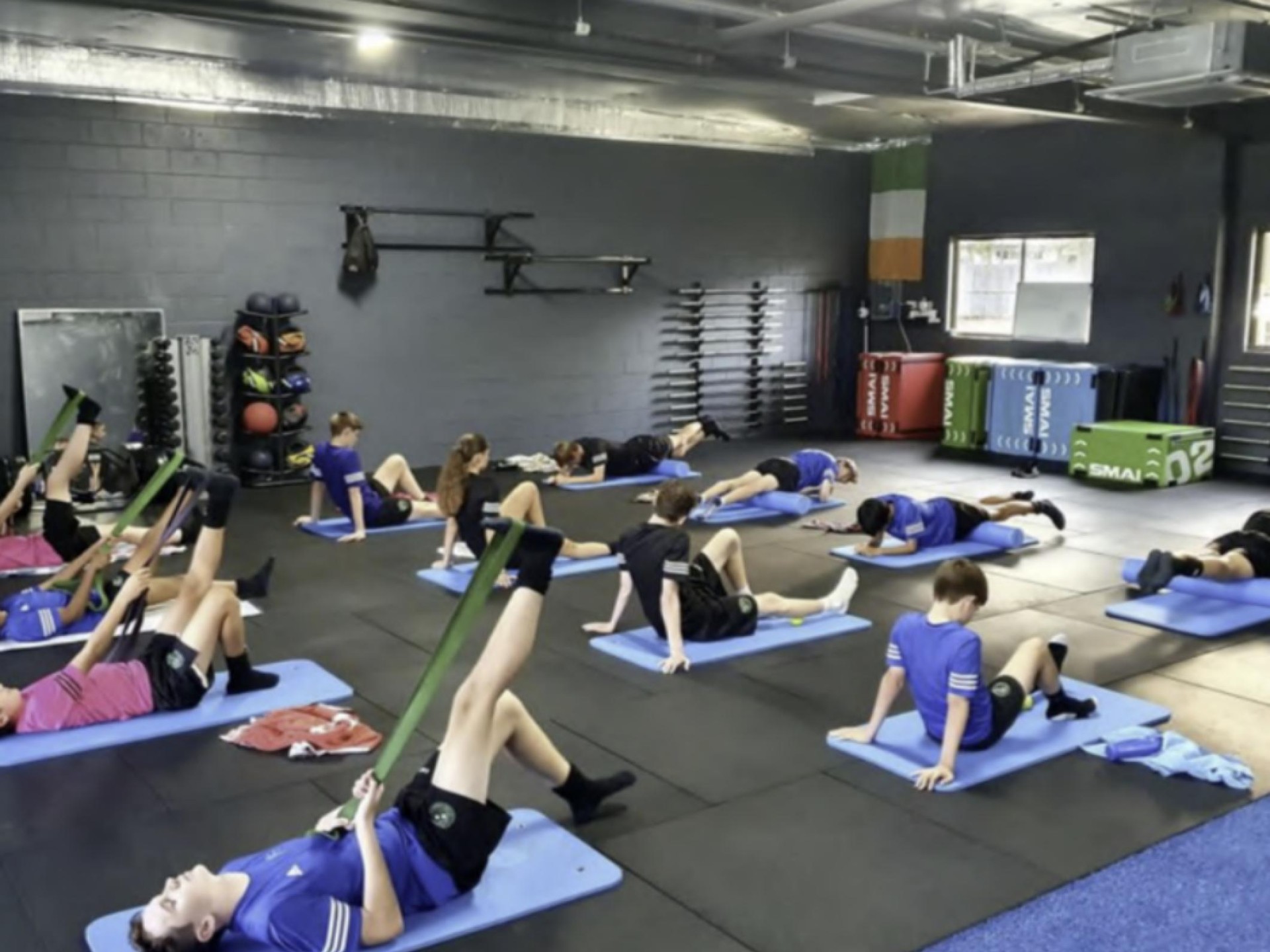 Established Junior Strength & 687680 2