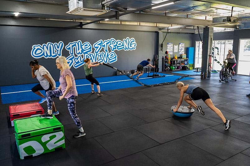 Established Junior Strength & 687680 1