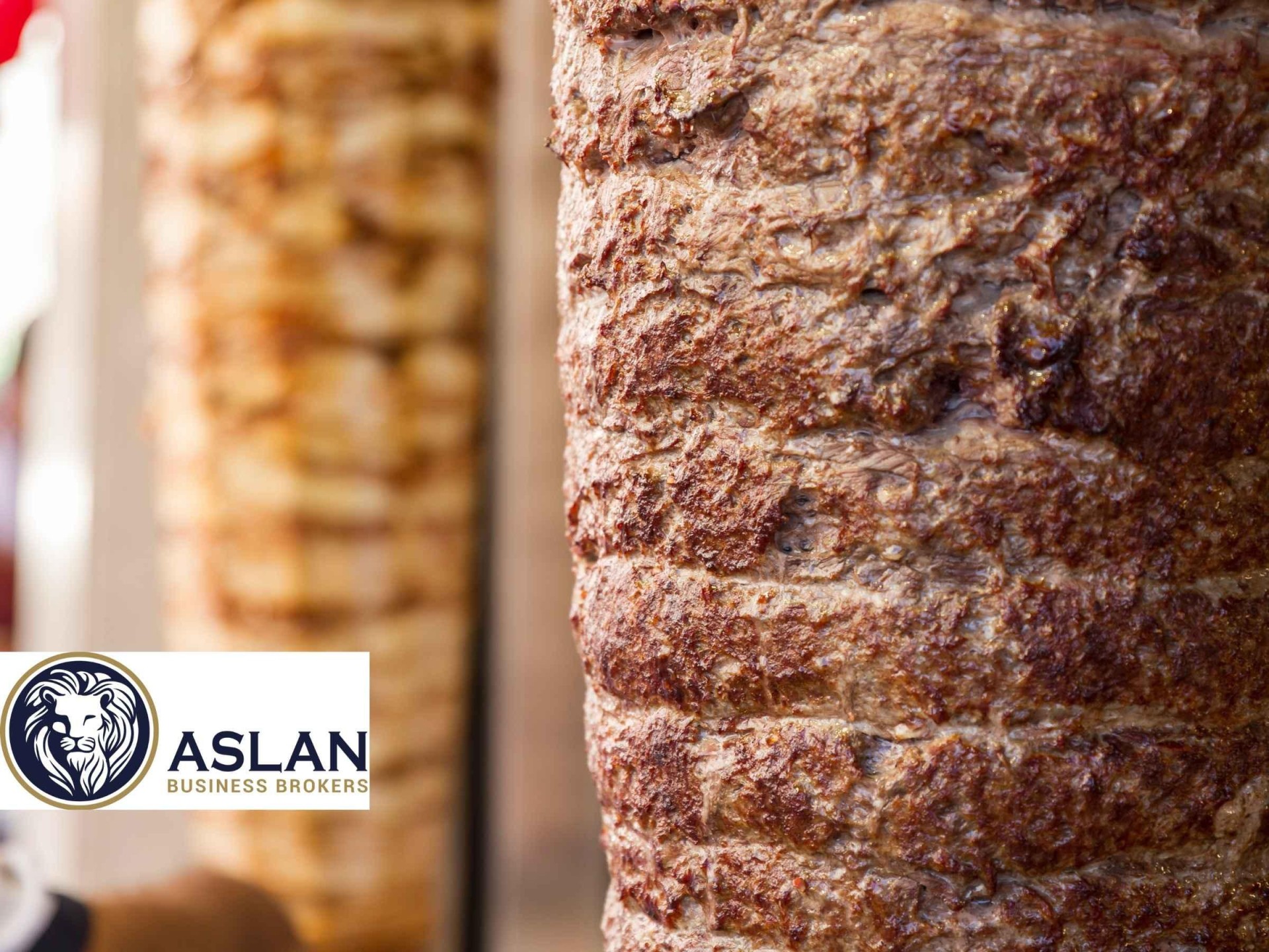 Kebab Food Manufacturing Business 687883 3