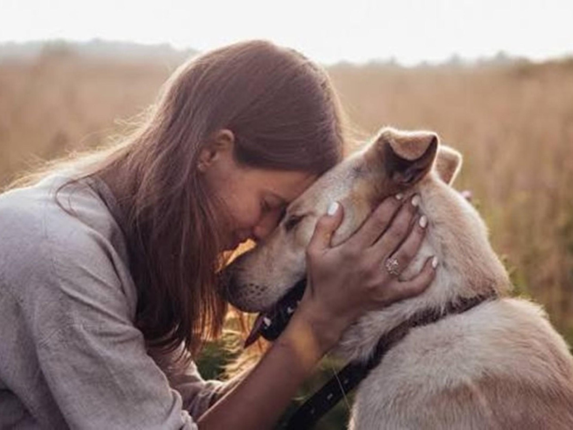 Online Pet Product Wholesaler/distributor 687928 2