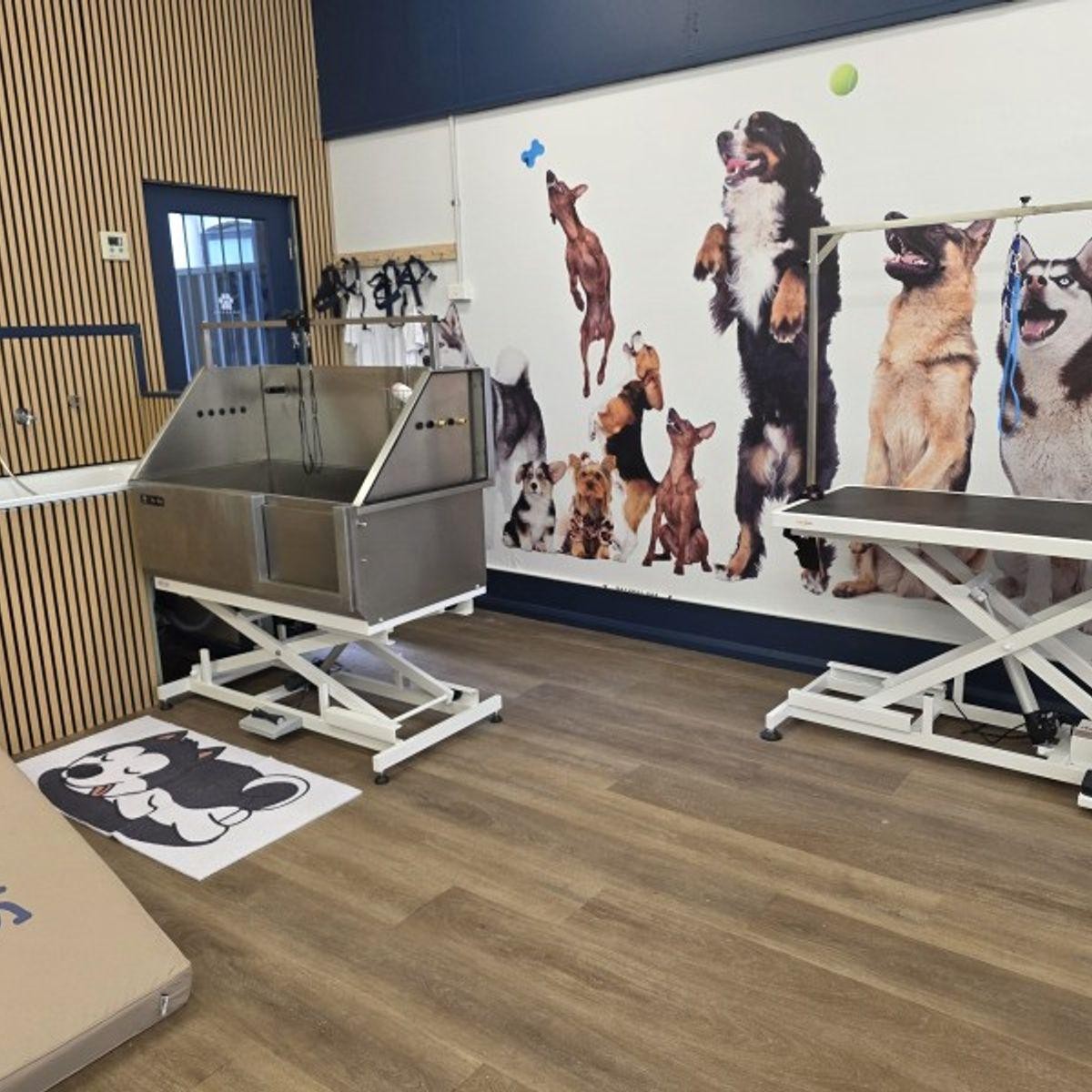 Rewarding Dog Day Care 688057 1