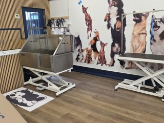 Rewarding Dog Day Care & Grooming Business for Sale - Prime Stanmore, NSW Location - High Foot Traffic - Brand New Fit-Out - New Equipment -Ample Park