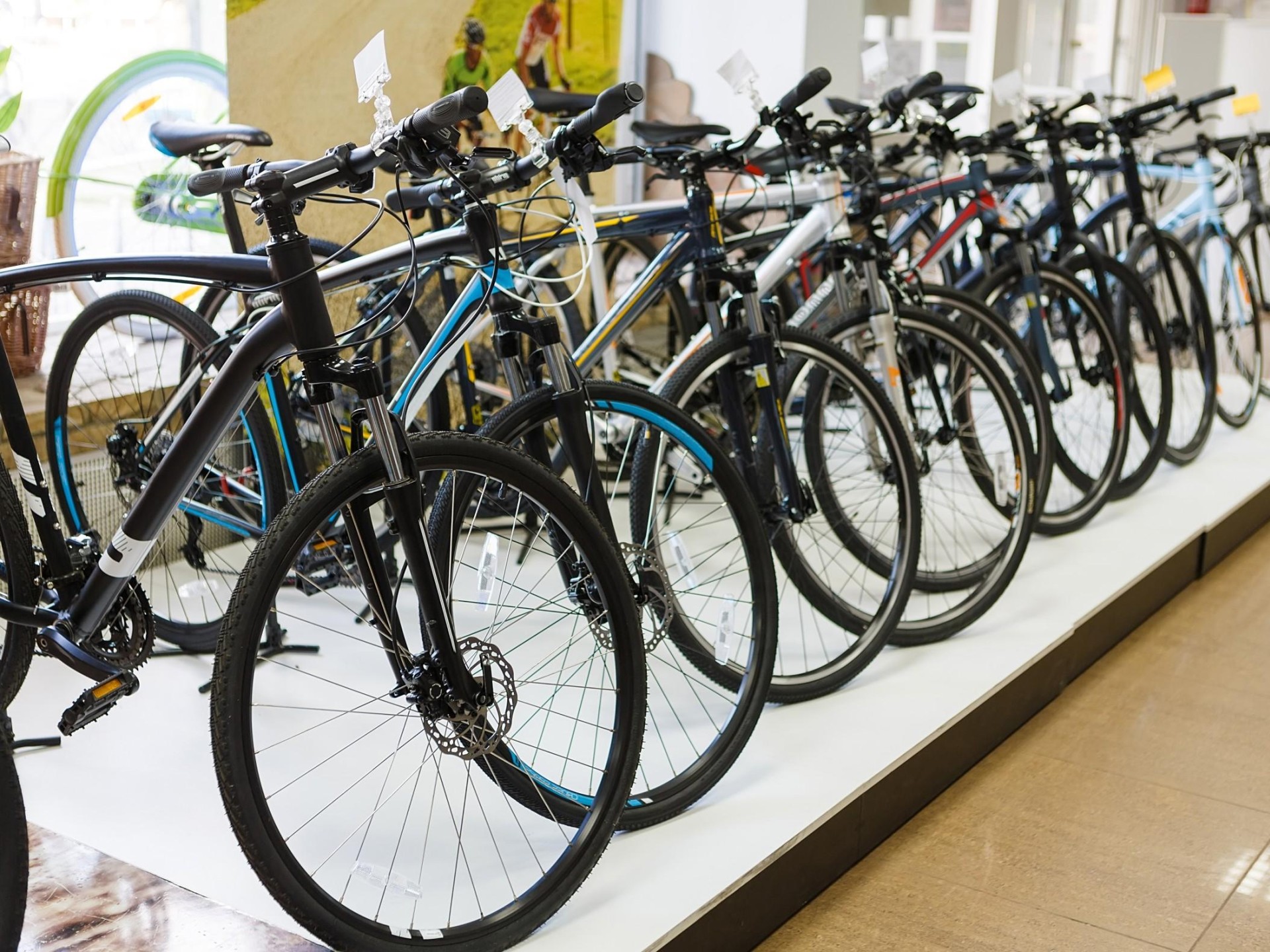 Bicycle Retailer And Workshop 688184 3