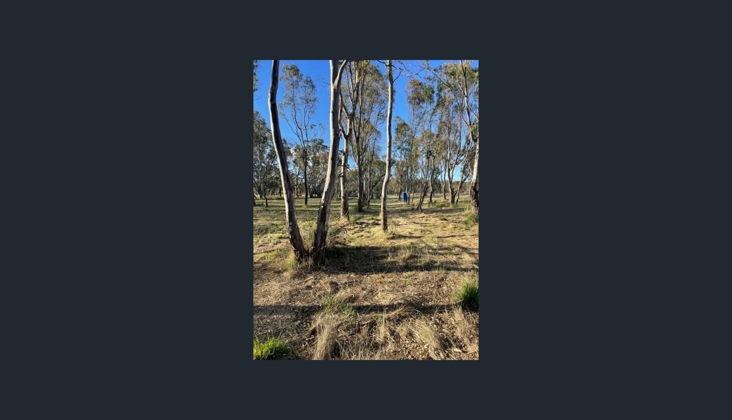 Thirty-two Acres Of Land 688233 3