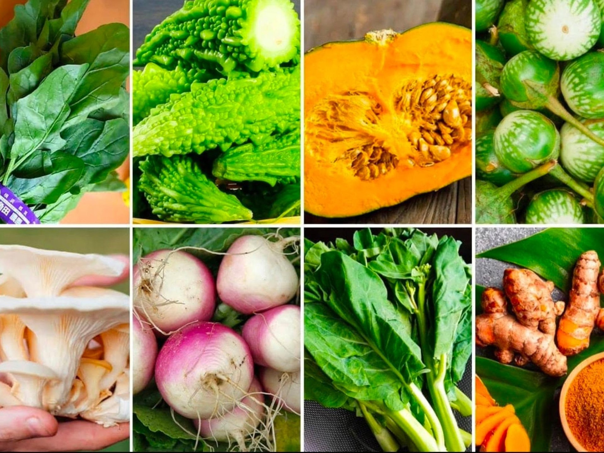 Asian Grocery Business | 688236 3