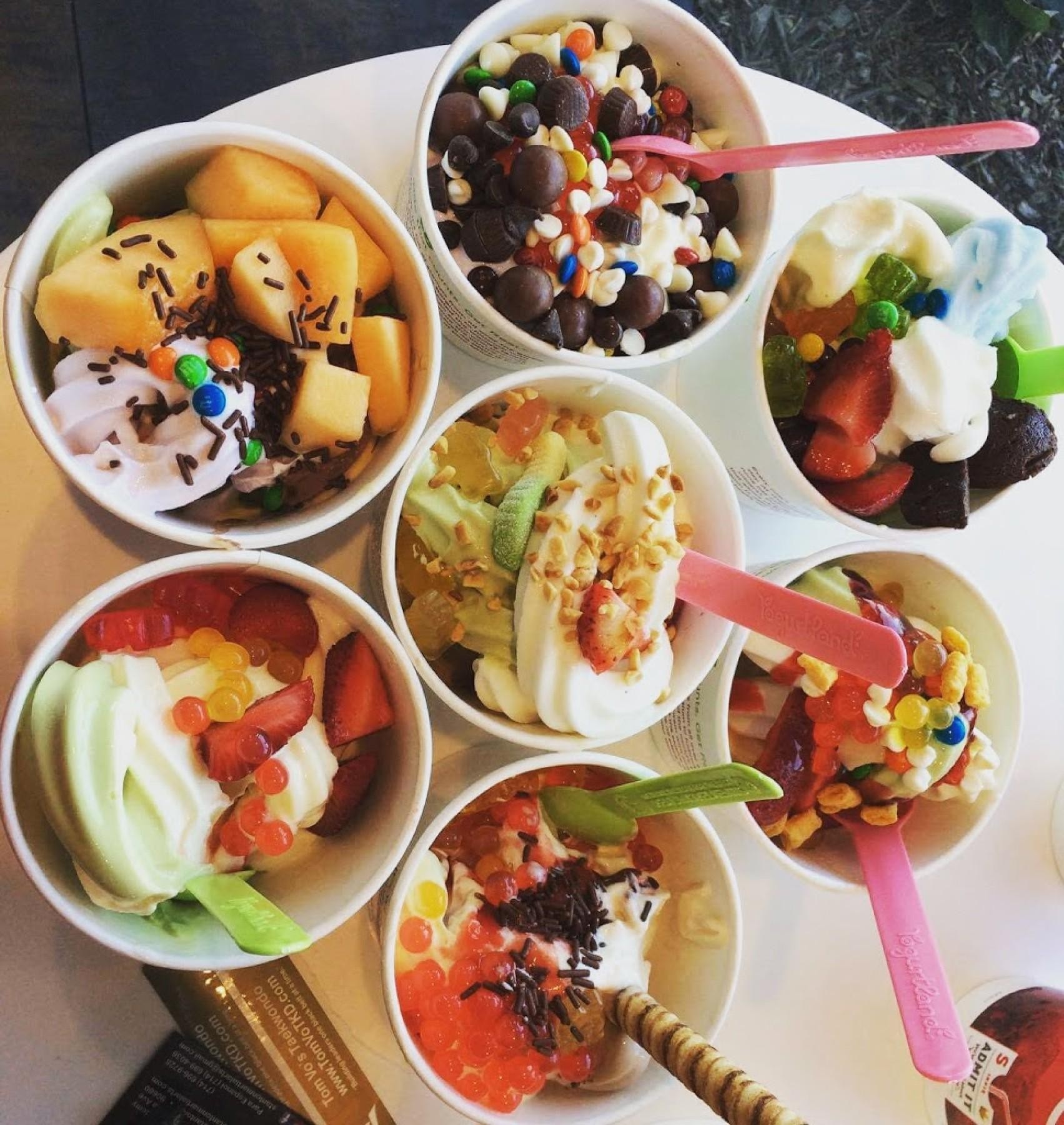 Frozen Yogurt Franchise - 688510 1