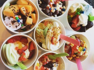 Frozen Yogurt Franchise - Established Business - Urgent Sale