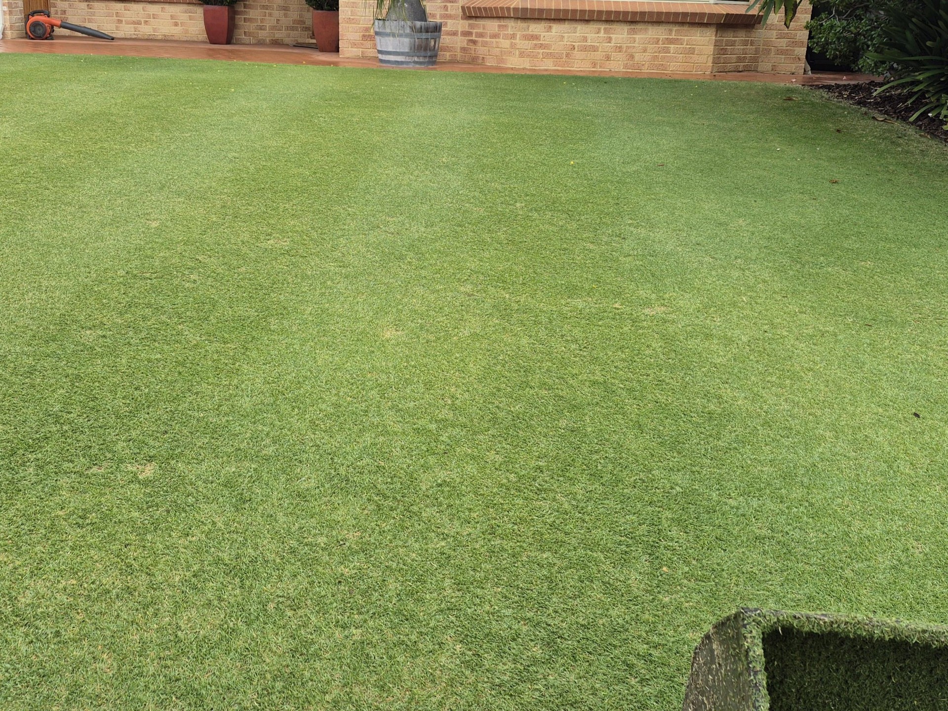 Lawnmowing Business Independent 688850 1
