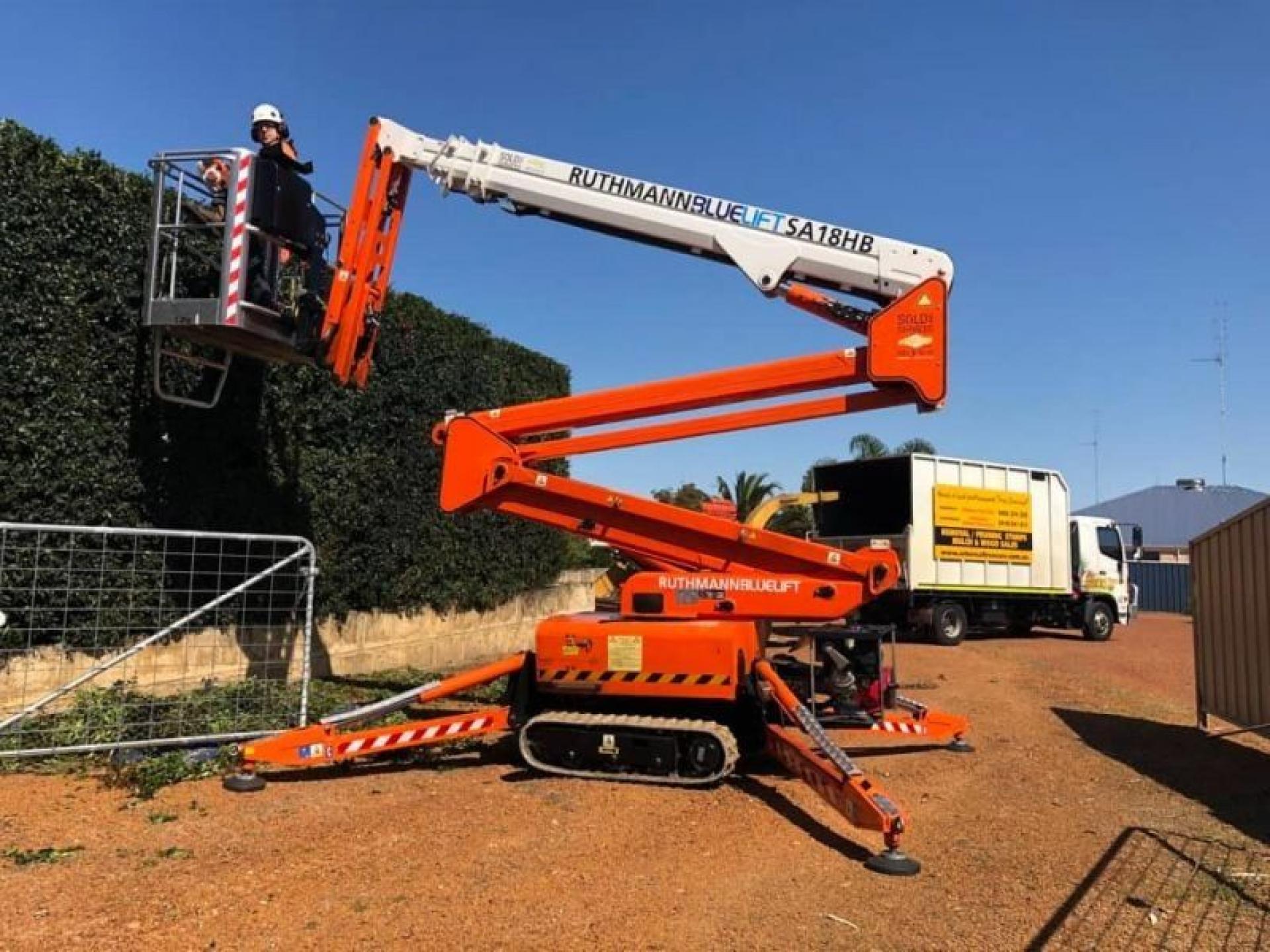 Two Long-established Arborist Businesses 688881 2