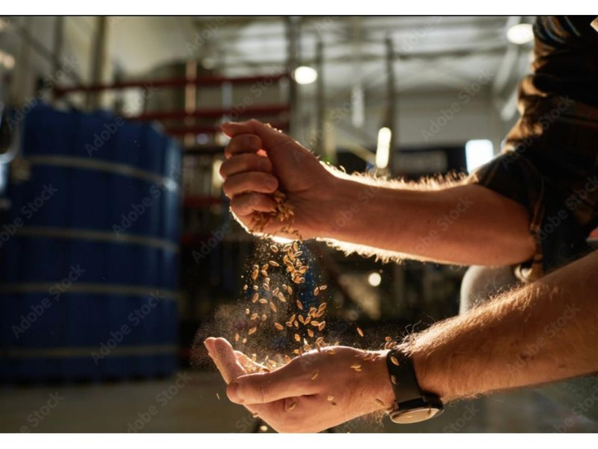 Well-established Home Brewing Business 688897 2