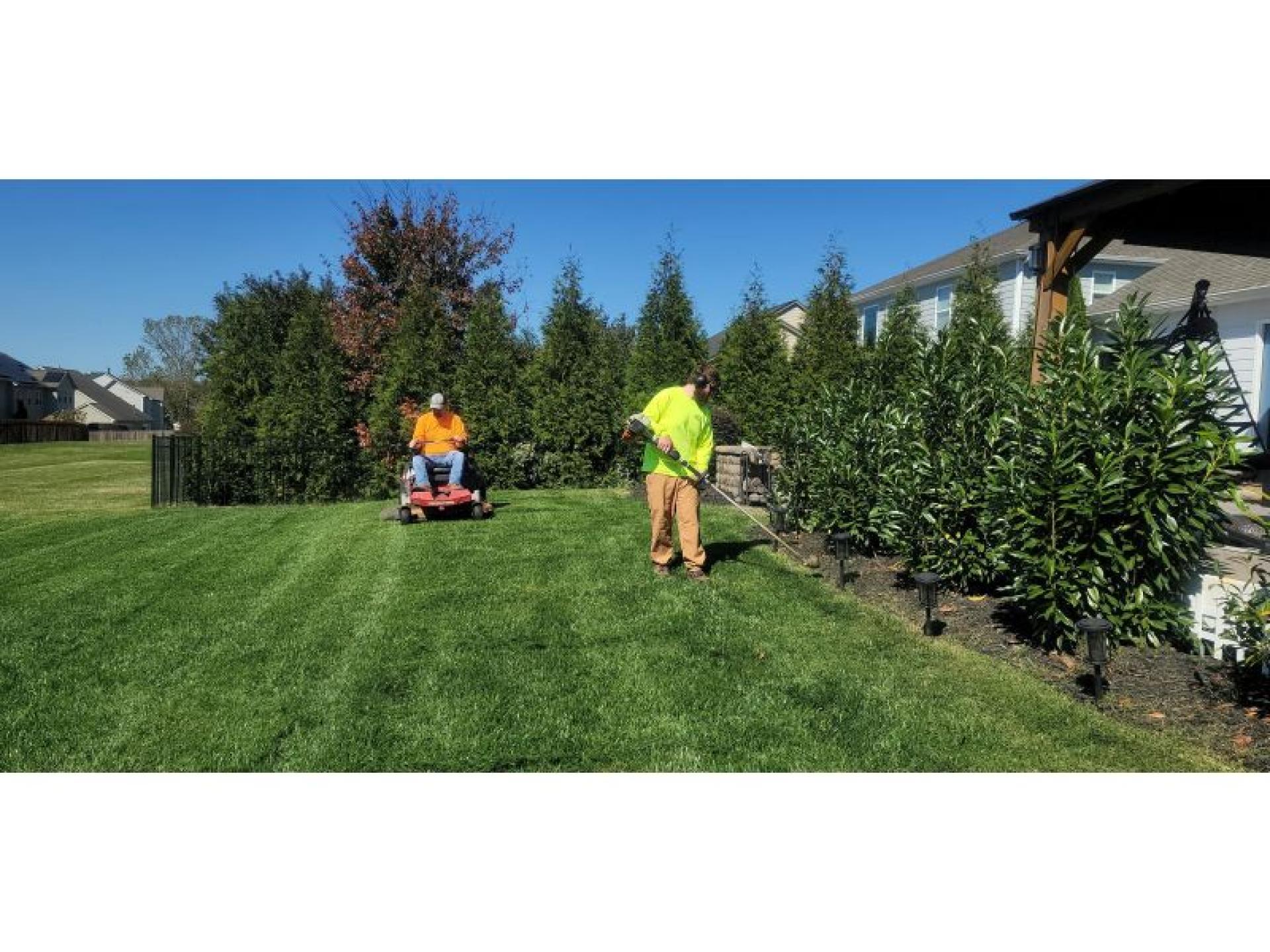 Established Landscaping And Garden 688979 2