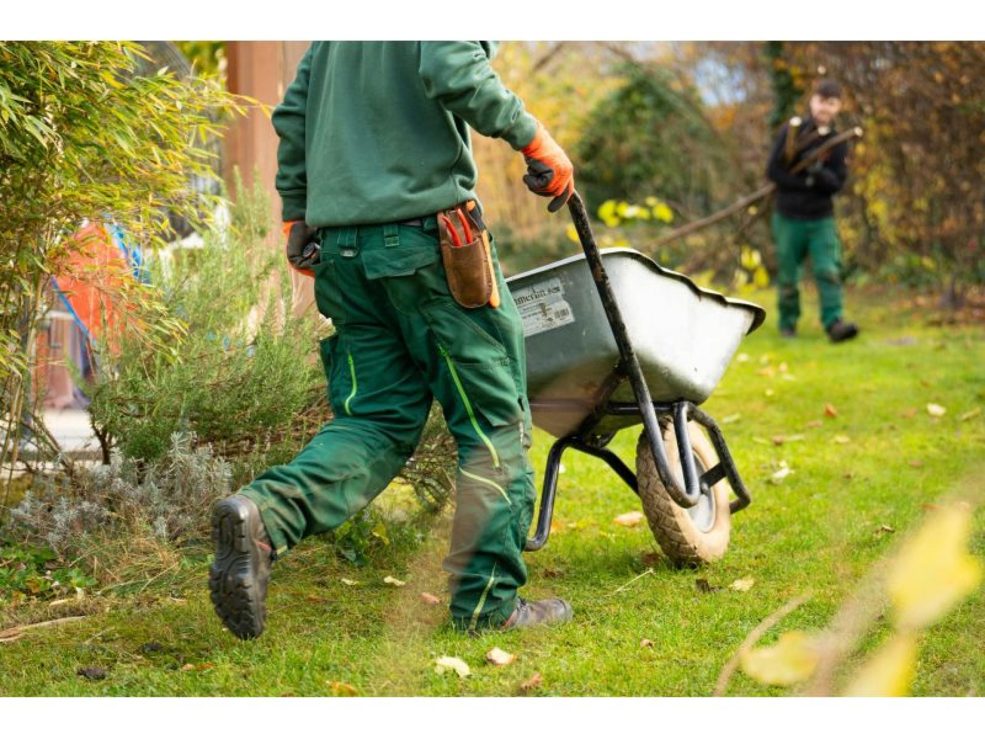 Established Landscaping And Garden 688979 1