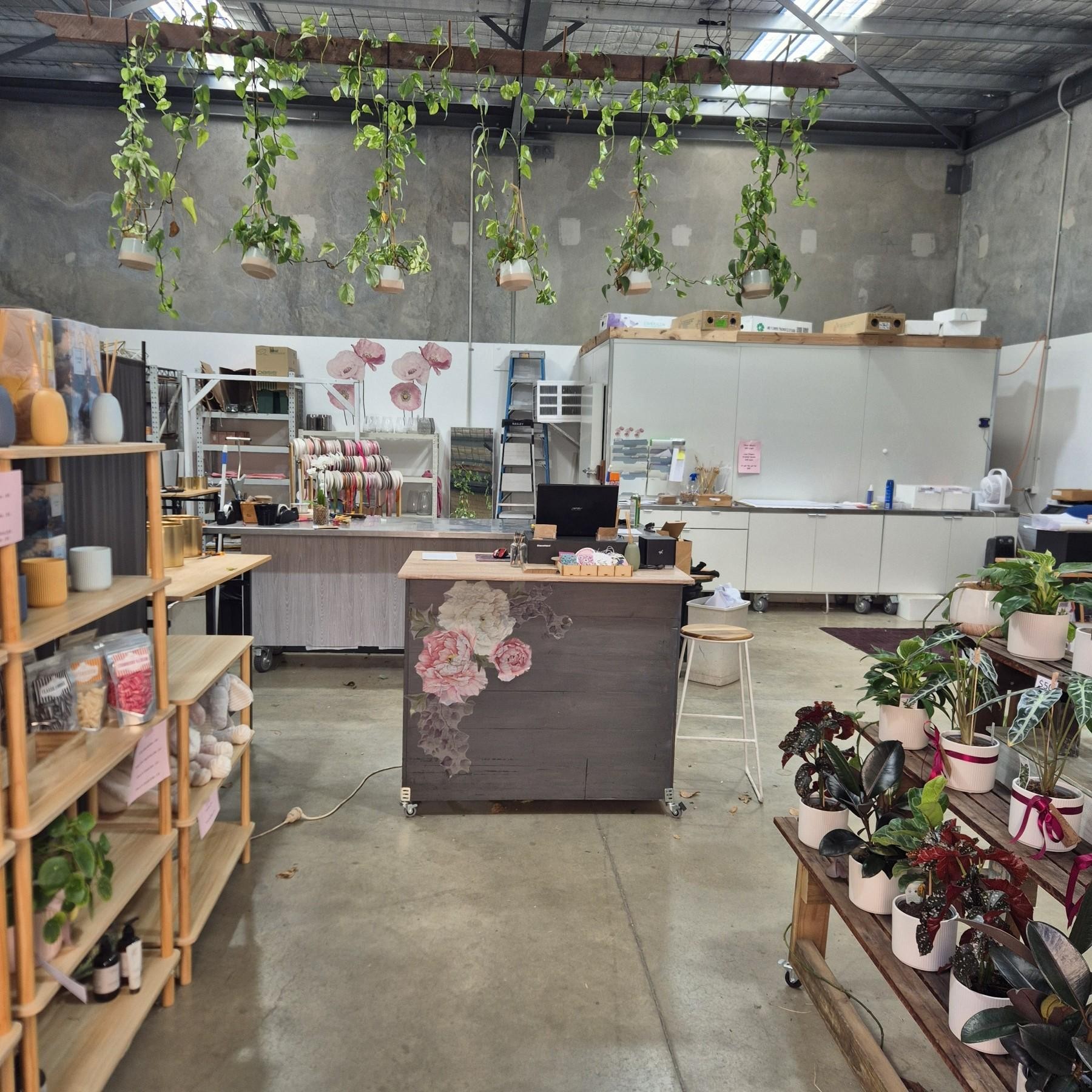 $100k Wiwo — Established 688988 2
