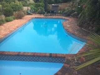 Established Pool Painting Business - 30 years successful trading