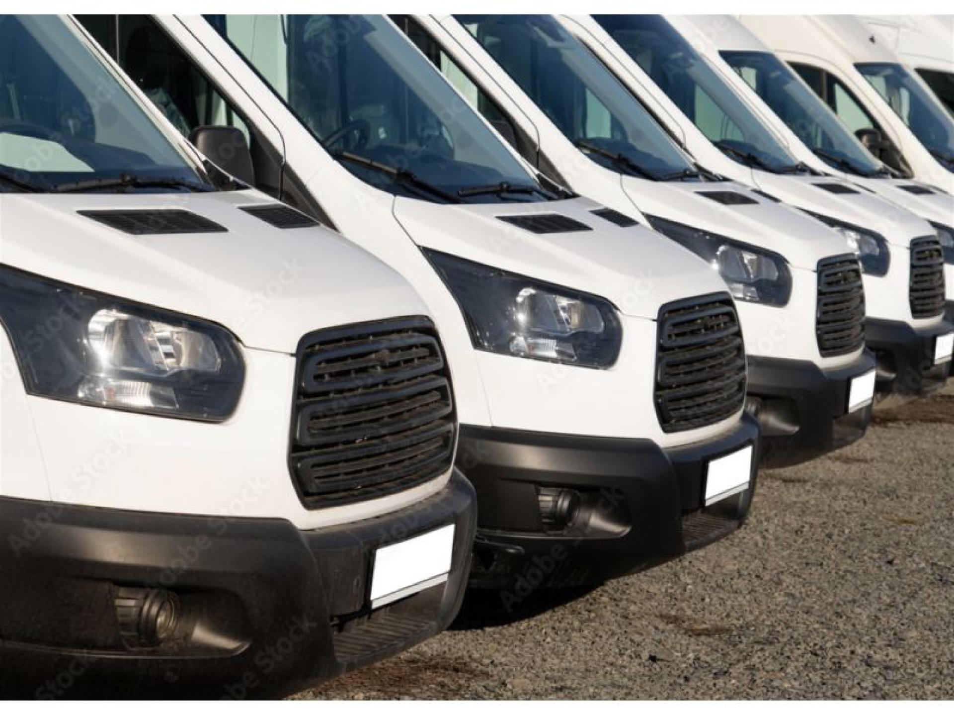 Established Vehicle Hire & 689095 3
