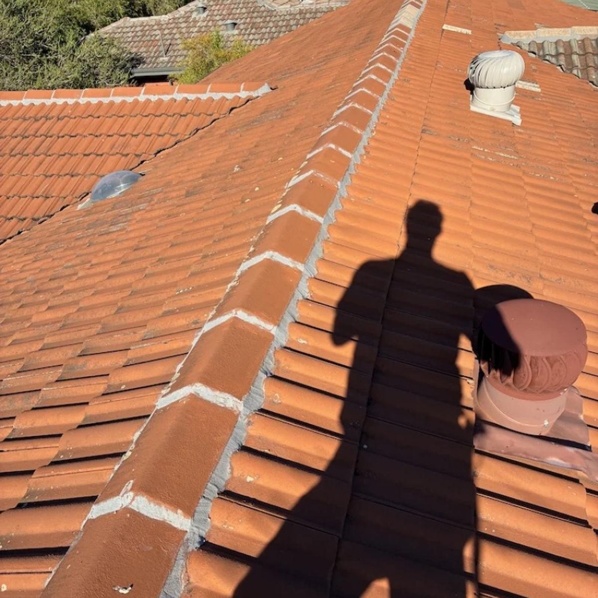 High Growth Roof Restoration 689135 3