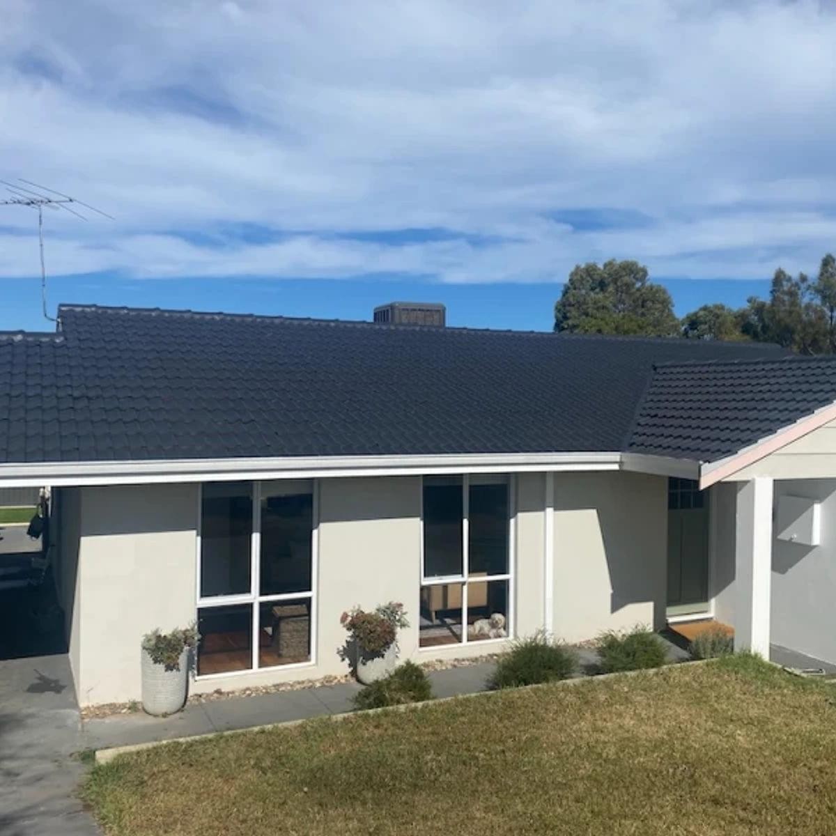 High Growth Roof Restoration 689135 1